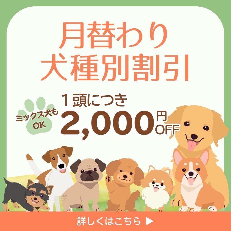 月替わり犬種別割引プラン
